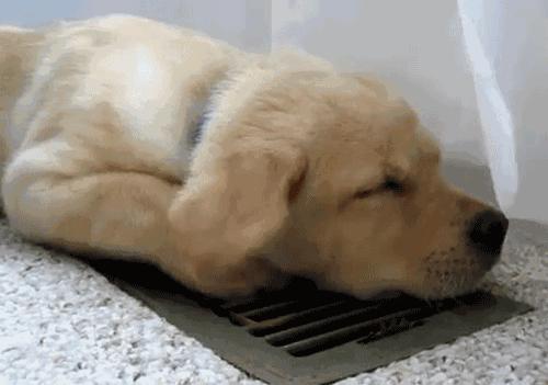 中央空调有钱的家庭才装吗,有钱人装什么牌中央空调