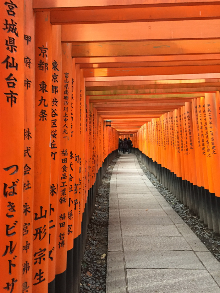 日本的冬天依旧色彩绚烂,冬季日本的冰雪阳光