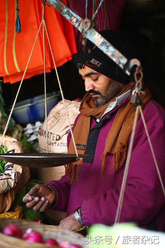 印度大吉岭红茶有几个品牌,印度大吉岭红茶品种