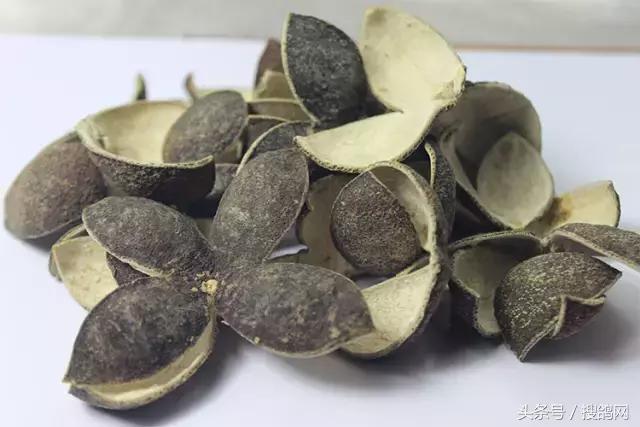 中药提速三大给药方式,中药提速到底有没有用