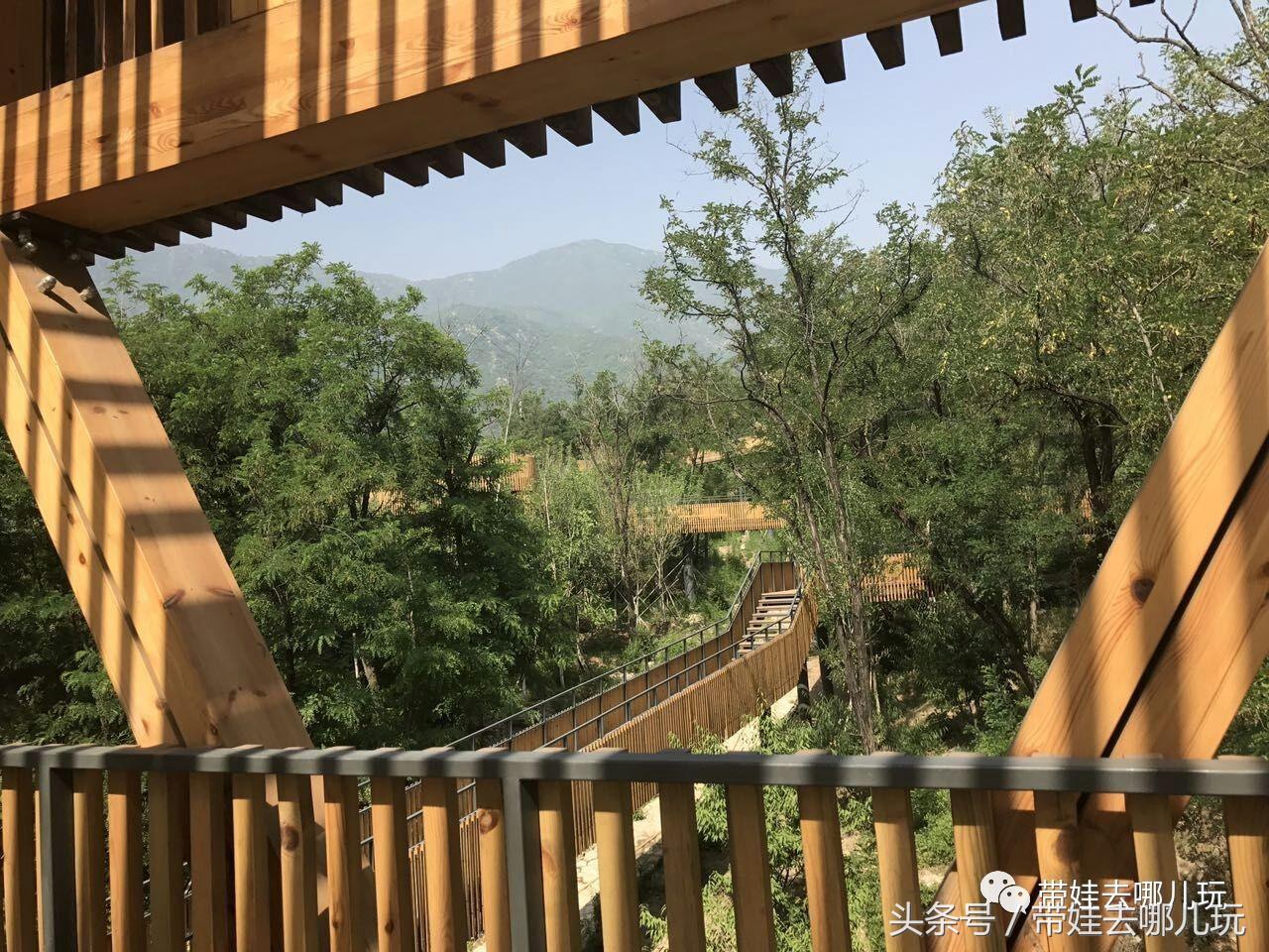 一次薰衣草之旅是如何变成采摘农家乐的?