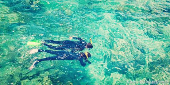 澳大利亚移民各专业最新配额,澳大利亚热门移民专业排名