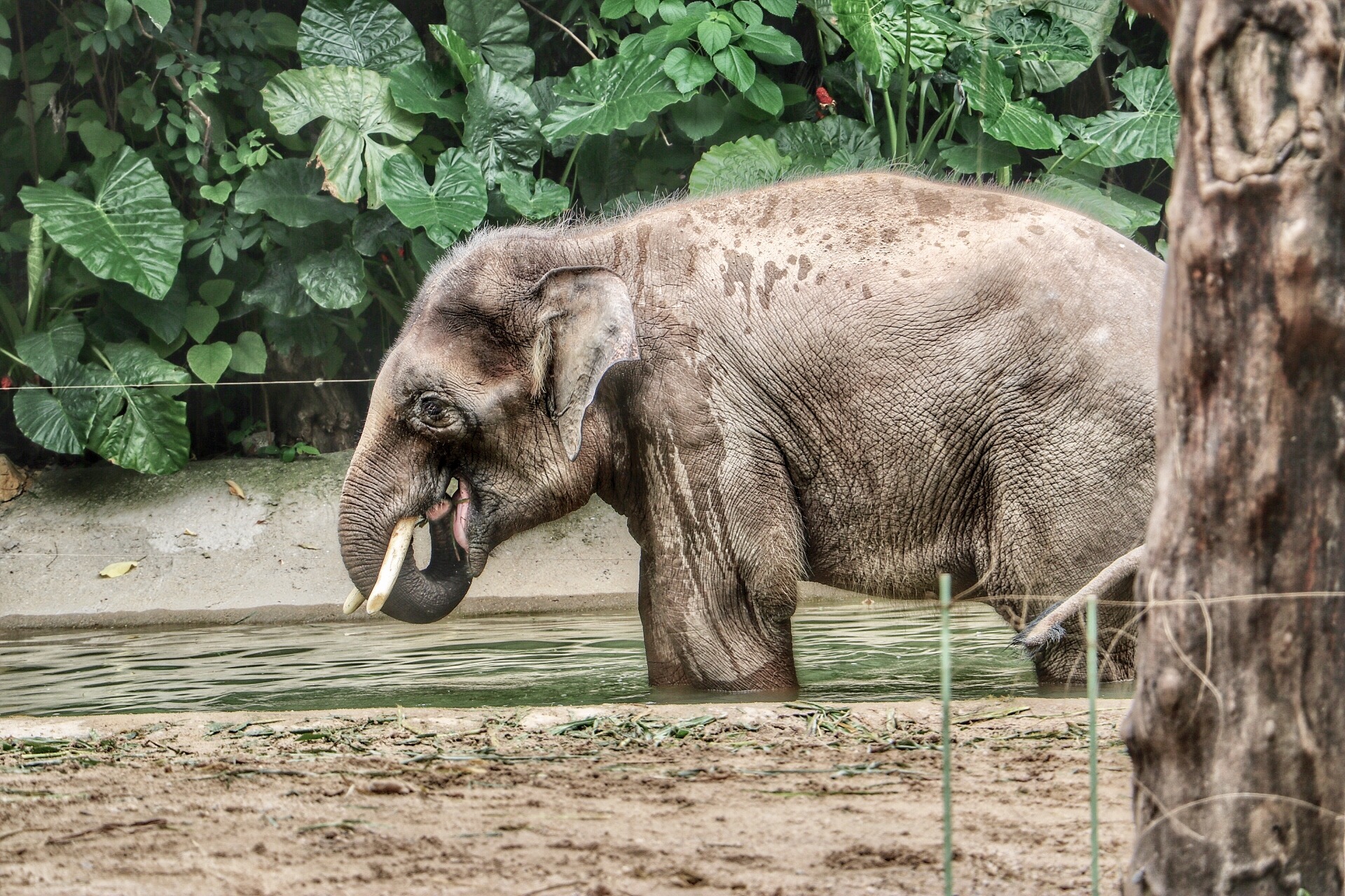 一月广州长隆野生动物园游玩攻略,长隆海洋王国不可错过