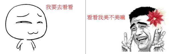 华为杂志锁屏不更新怎么办,华为mate10杂志锁屏怎么关闭