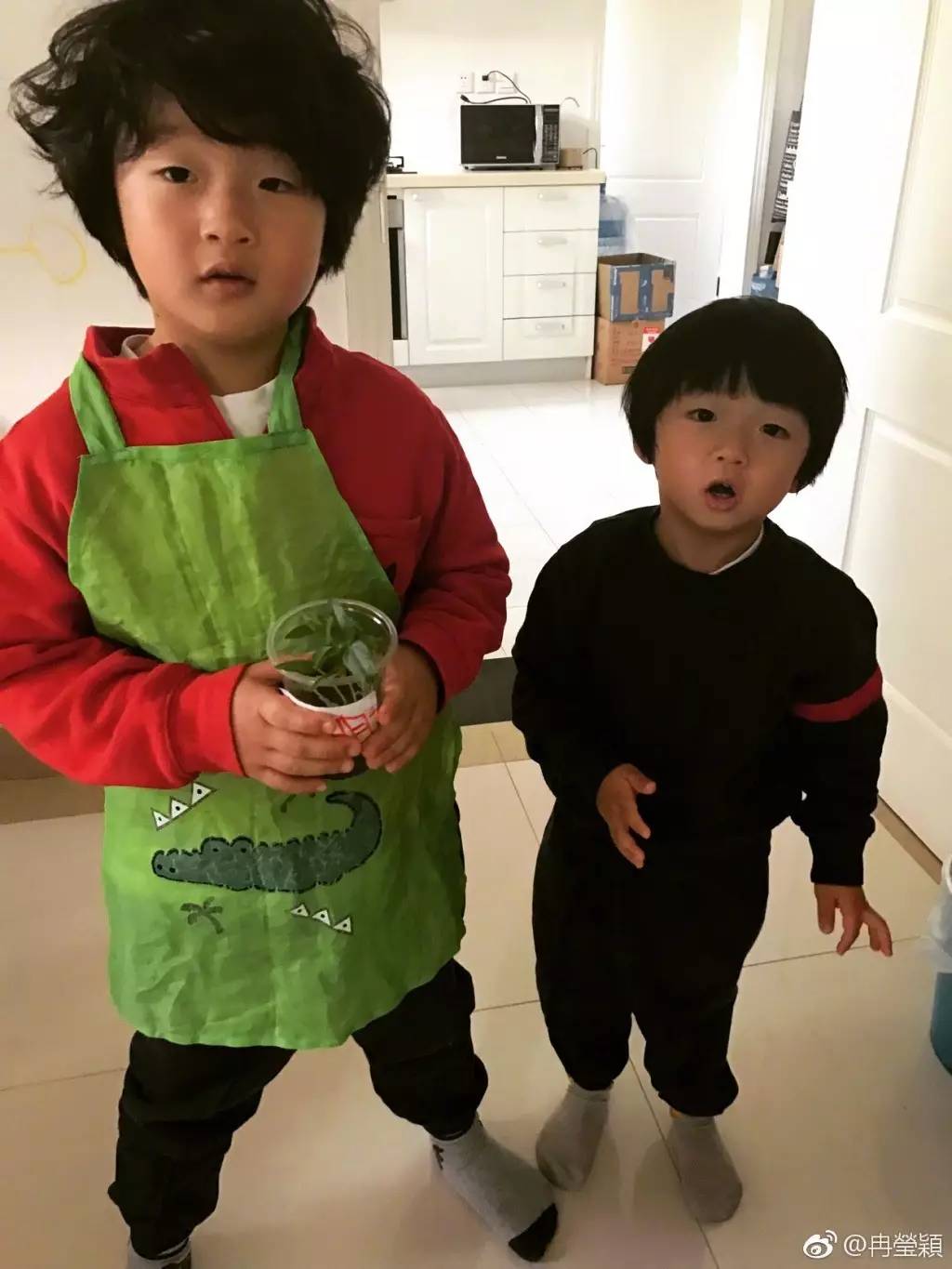 王诗龄晒奢侈品被吐槽,王诗龄奢侈