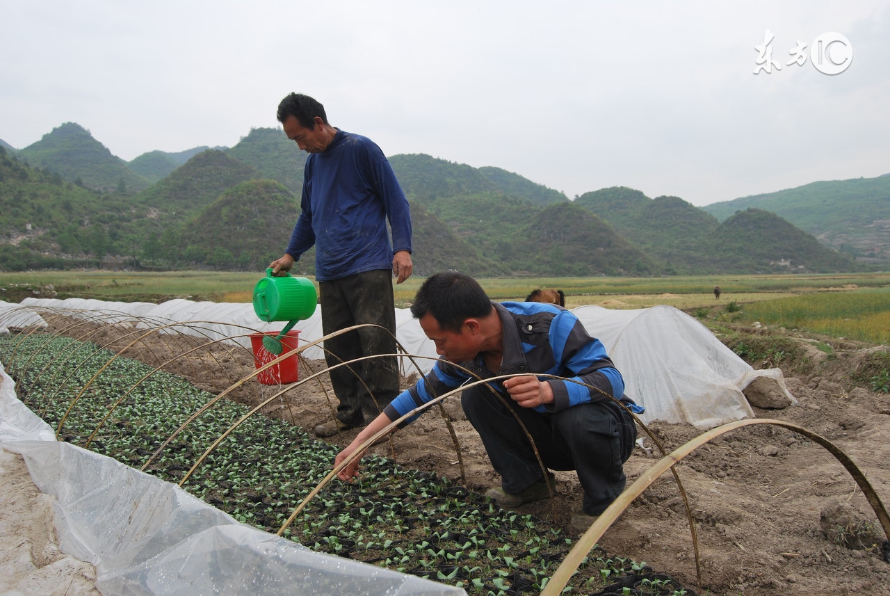 返乡农民工创业面临的困难和问题,返乡创业方面有什么困难