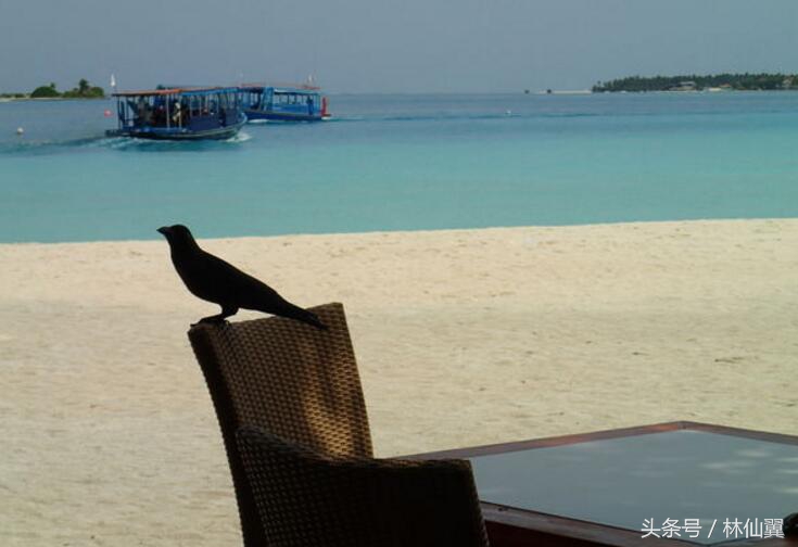 马尔代夫旅游最低报价多少钱,南京到马尔代夫旅游报价