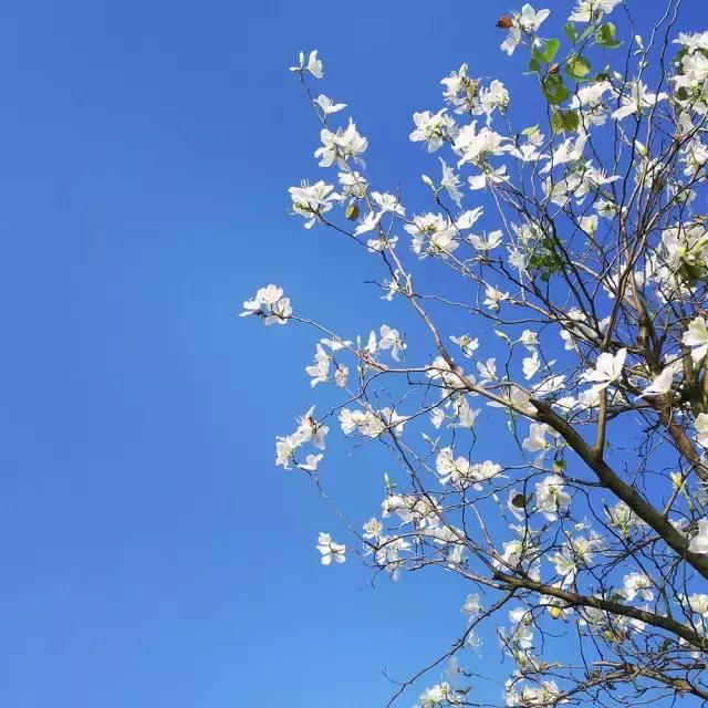 鎬濋攼鎵嬫満鎽勫奖澶ц禌,鎬濋攼鍏夊鎵嬫満鎽勫奖澶ц禌