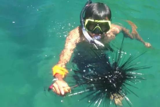 拒绝下饺子，出门就是海，双月湾爱琴海酒店