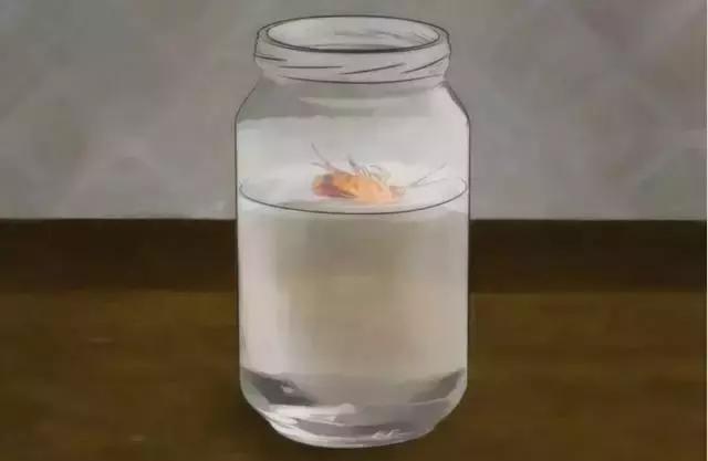 敌敌畏灭蟑螂最佳方法,快速灭蟑螂的6大方法