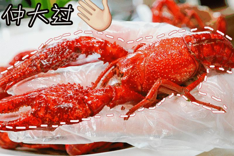 广州小龙虾视频,广州哪里买鲜活小龙虾