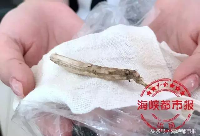 悲催三姐妹,悲惨三姐妹