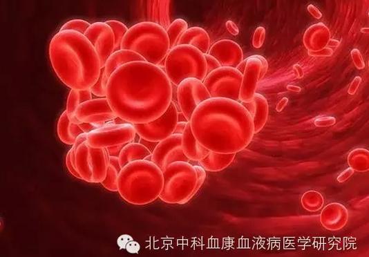 难治血小板减少症如何治,治疗血小板减少不可缺少一味中药