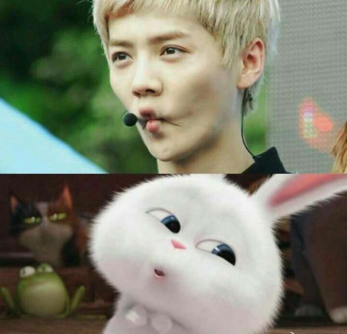 鹿晗踢球穿拖鞋,鹿晗踢足球了吗