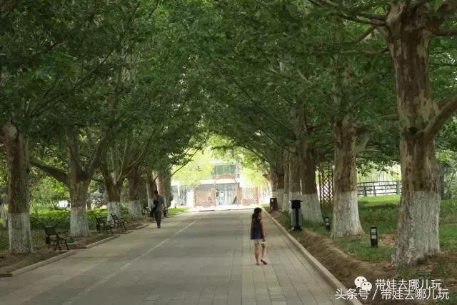 性价比高的亲子酒店推荐,性价比高又好住的酒店