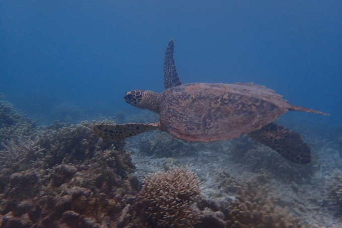 带着思念去海边,带着思念期待下一次再见