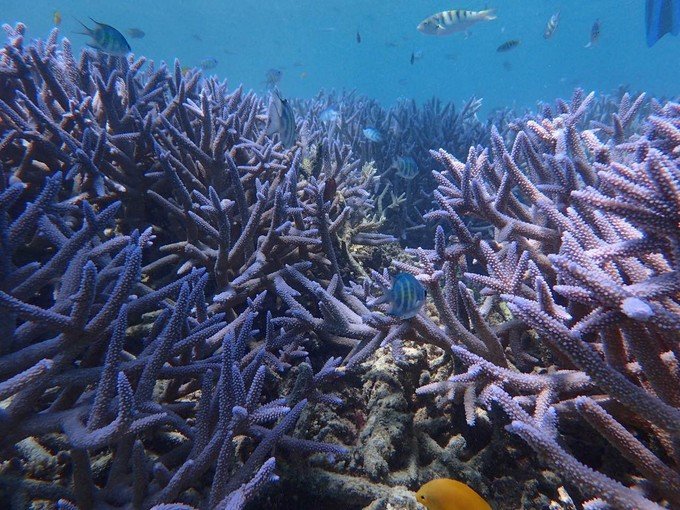 带着思念去海边,带着思念期待下一次再见