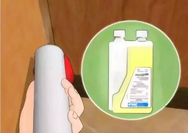 敌敌畏灭蟑螂最佳方法,快速灭蟑螂的6大方法