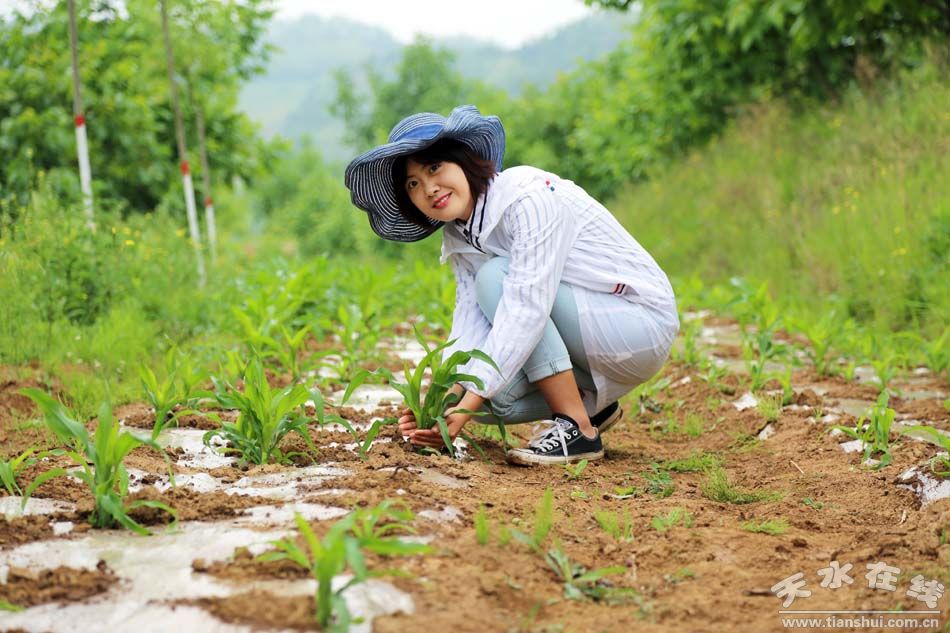 天水乡村田园风景图,天水农村自然美景