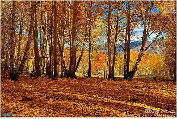 美丽*疆新**100张——美在雪山，美在草原，美在戈壁，美在心灵！