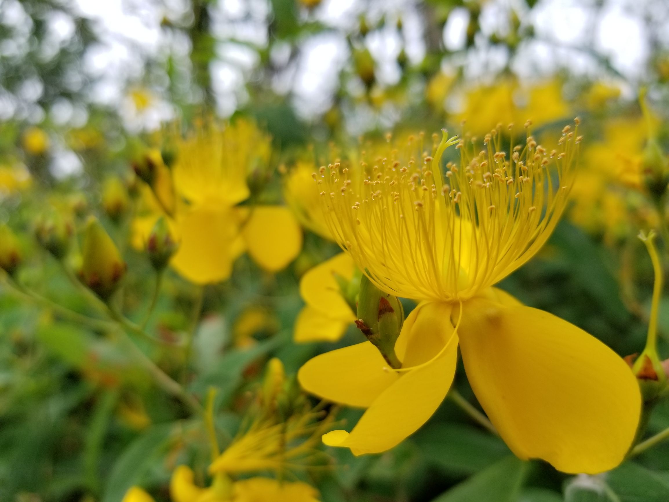 三星盖乐世s8还能维修吗,盖乐世s8功能