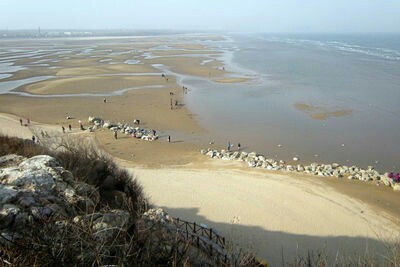 鸽子窝公园看日出免费,鸽子窝公园看日出时间2020