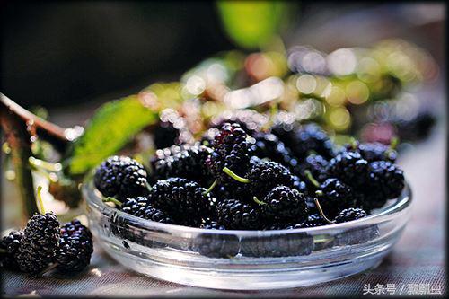 注意这些食物不能让孩子同时吃,注意几种食品不要给孩子买