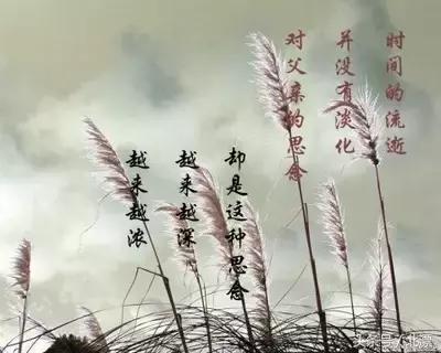 心情随笔人生感悟,心情随笔记录简短