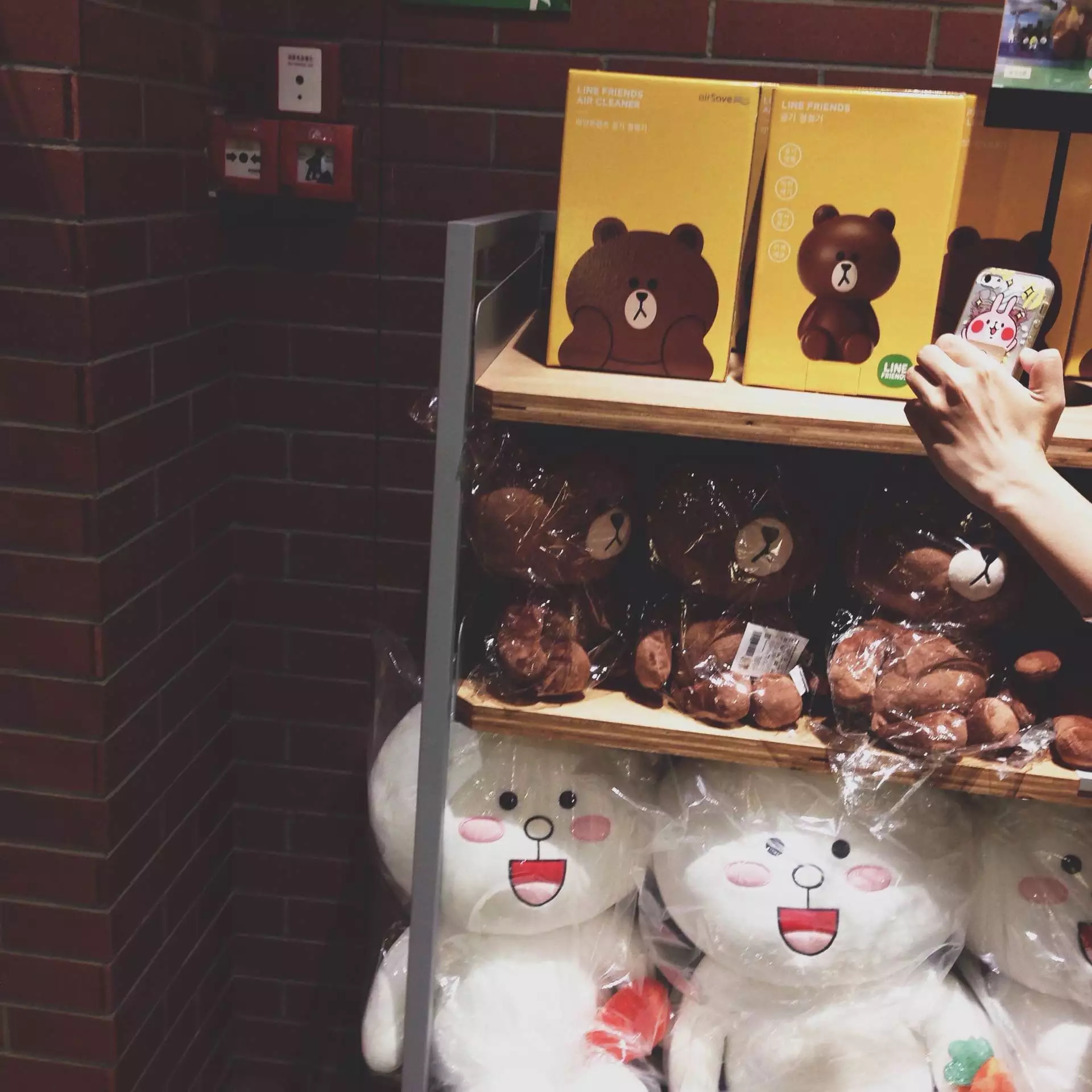 喜欢布朗熊可妮兔的你快看过来！