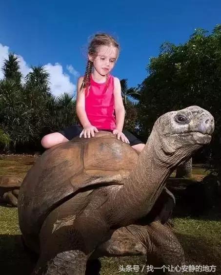 怎样玩遍毛里求斯,到了毛里求斯要怎么玩