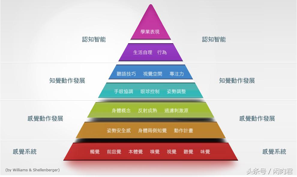 感觉统合失调什么意思,重度感觉统合失调是啥意思