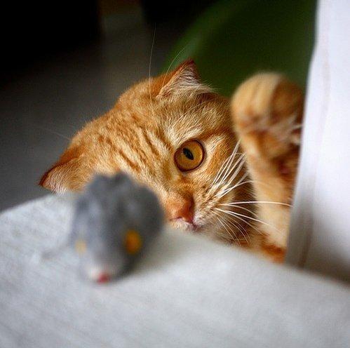 适合发朋友圈的短句经典语录,十大适合发朋友圈的经典句子