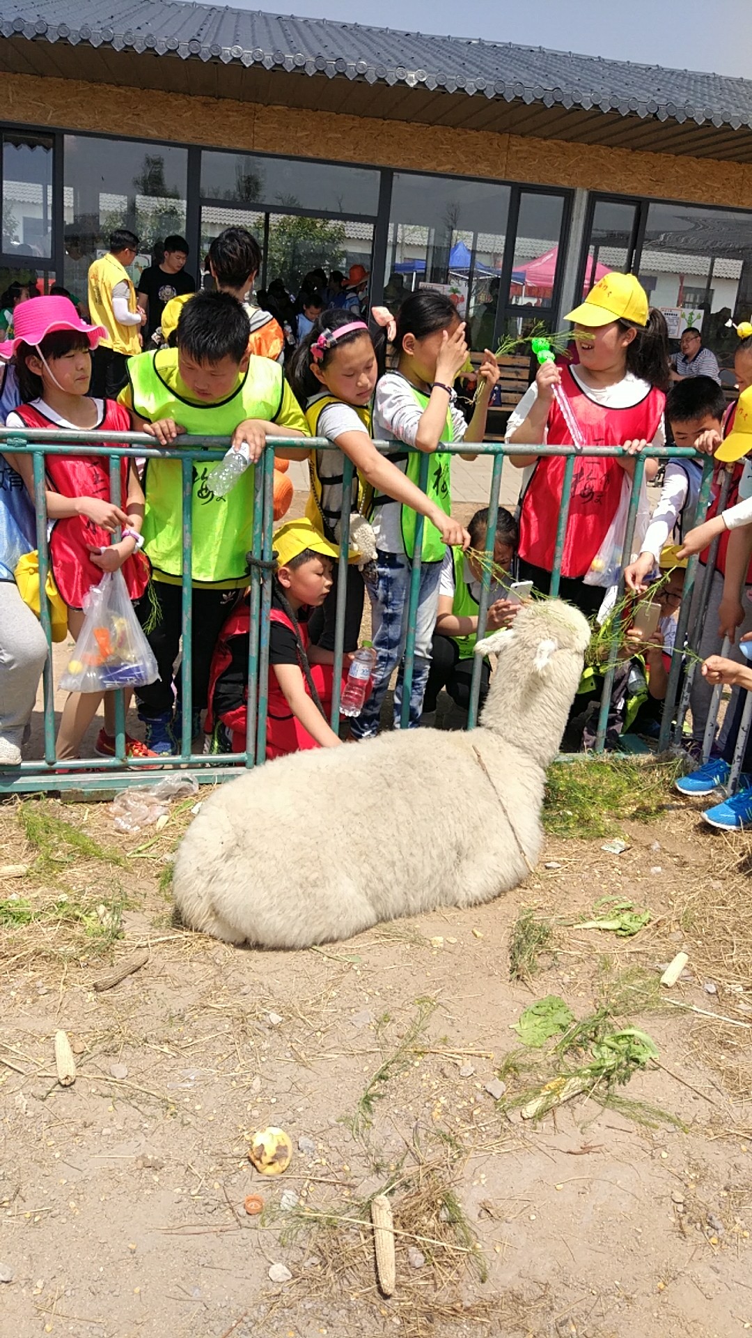 孩子生病如何改善家属焦虑,孩子生病怎样缓解紧张焦虑
