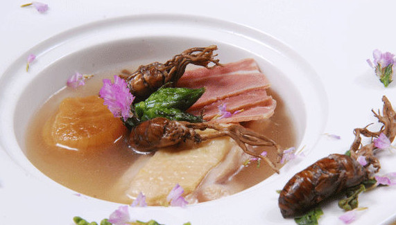 野生土冬虫夏草,与冬虫夏草一个等级的野草