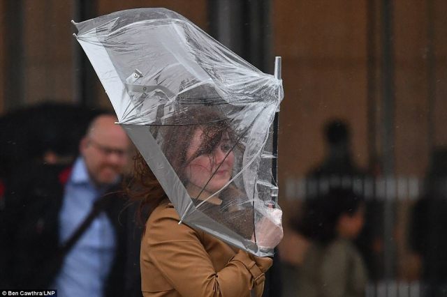 英国人的雨伞，誓死要跟最近的狂风暴雨杠上了