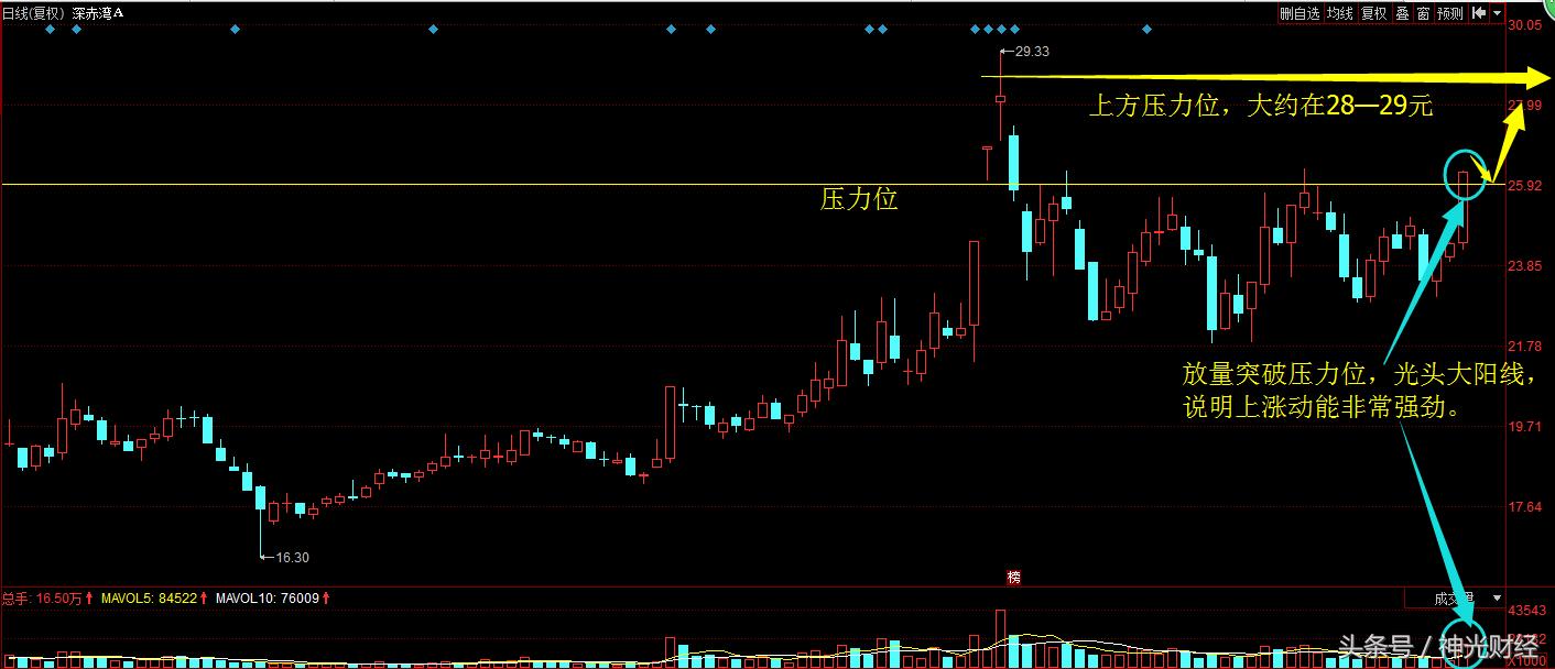 深赤湾a股票历史行情,深赤湾a股票行情