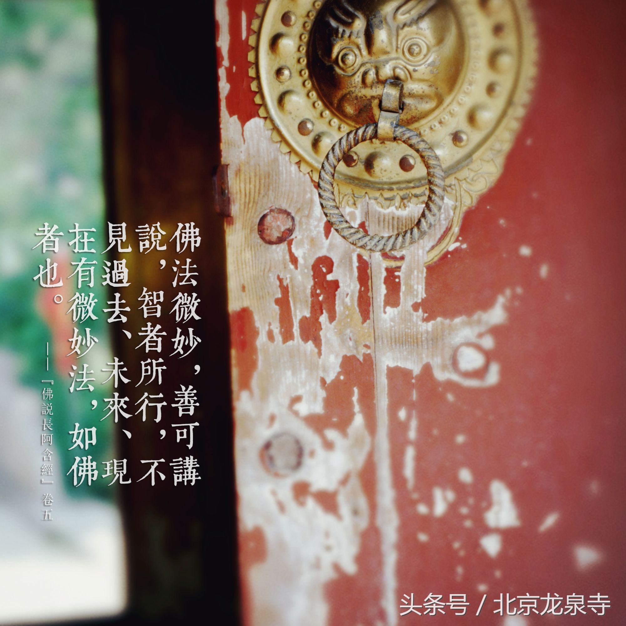 皈依改变命运,皈依之后命运坎坷