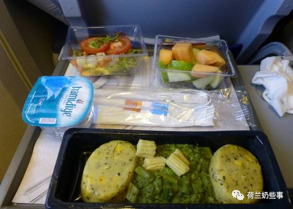 荷兰国王,荷兰国王副业开飞机