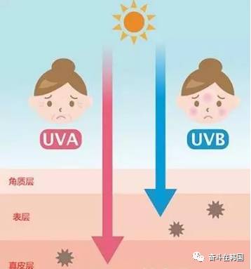 赫拉防晒霜上黑榜,赫拉防晒霜70ml官方