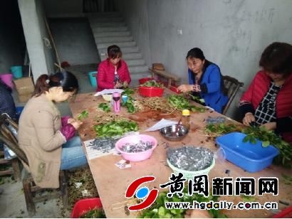 一位村干部的苗圃梦——罗田县三里畈高中驻父子岭村工作队