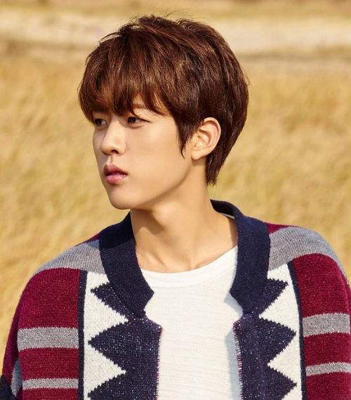 INFINITE组合是什么？看看粉丝们的神评价