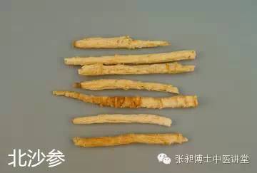 北沙参配百合功效与作用,南沙参和北沙参功效与作用