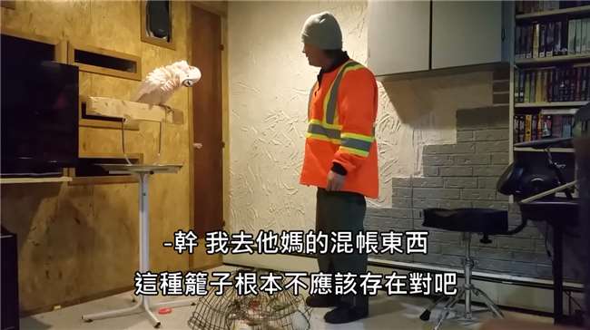 鹦鹉鸟笼被踩碎,鹦鹉踩烂鸟笼的视频