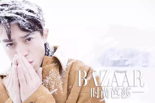 胡霍cp组合图片,胡霍霍cp动图