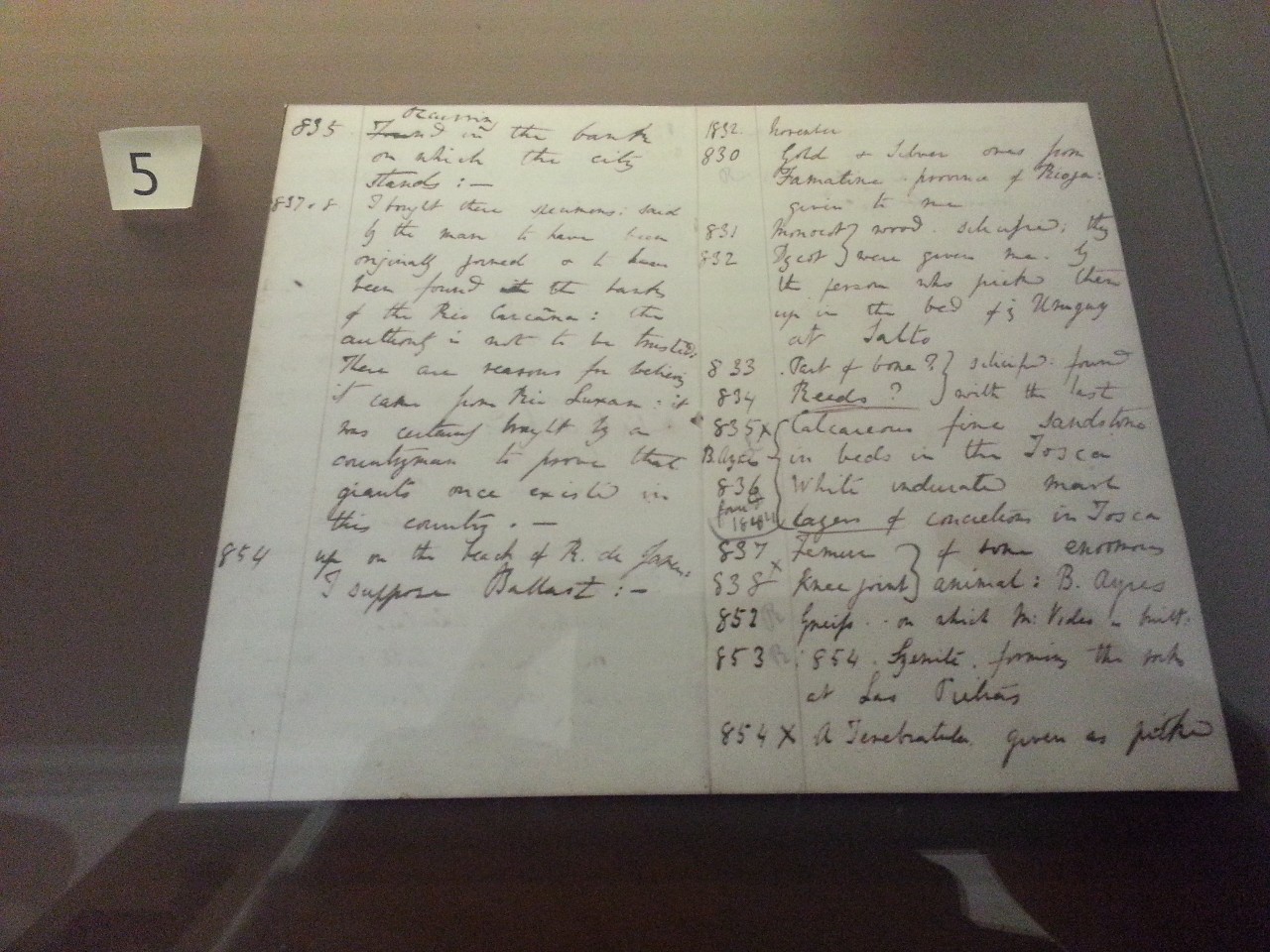 塞奇威克地球科学博物馆,塞奇威克