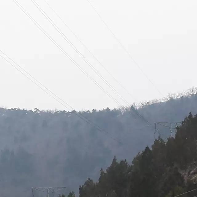 为什么拍出来的照片细节不清新,拍的照片不清楚怎么弄清楚