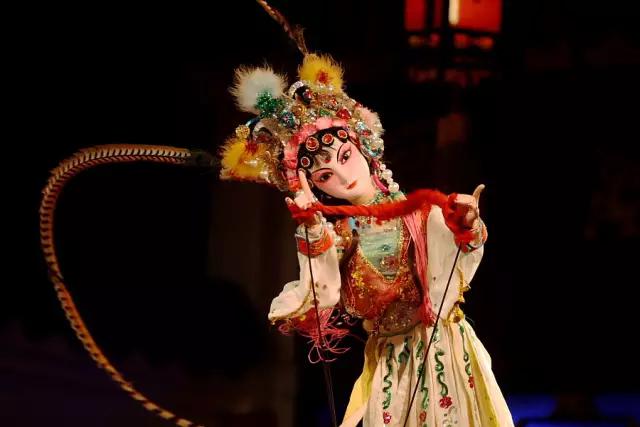 莱西在中国受欢迎,莱西受国人欢迎吗