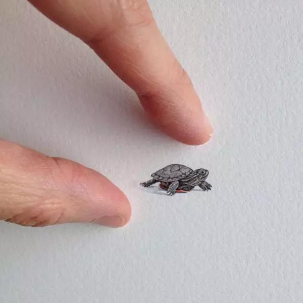 拇指插画,艺术个人插画