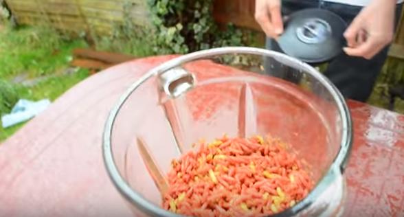 重口新高度！两男子“将活蛆搅碎后饮用”，看完我再也不想吃饭了