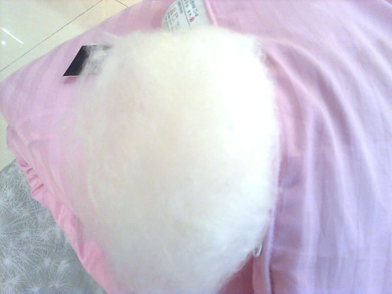 怎样辨别蚕丝被的好与坏,教你如何辨别蚕丝被的真假